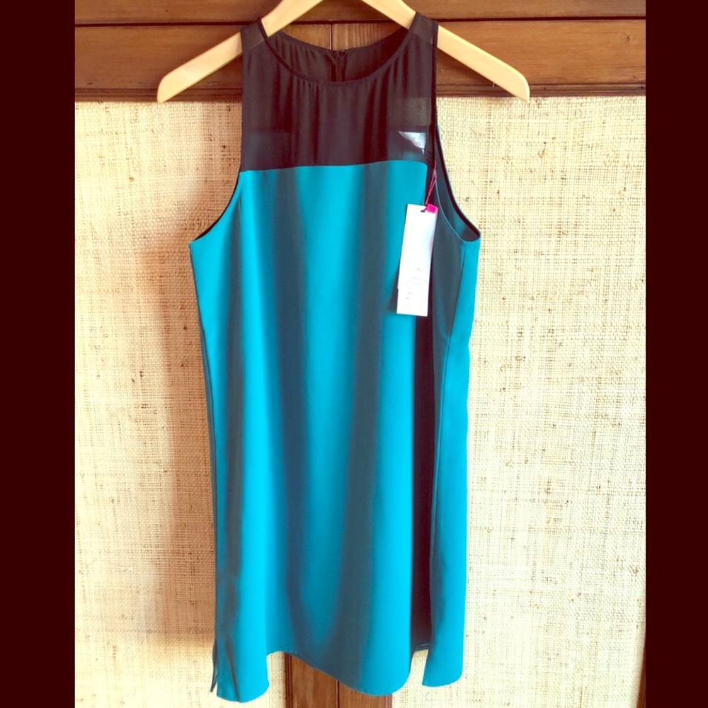 Parker Dress with Black Sheer detail